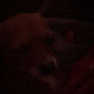 Meet your Posher, Wayne